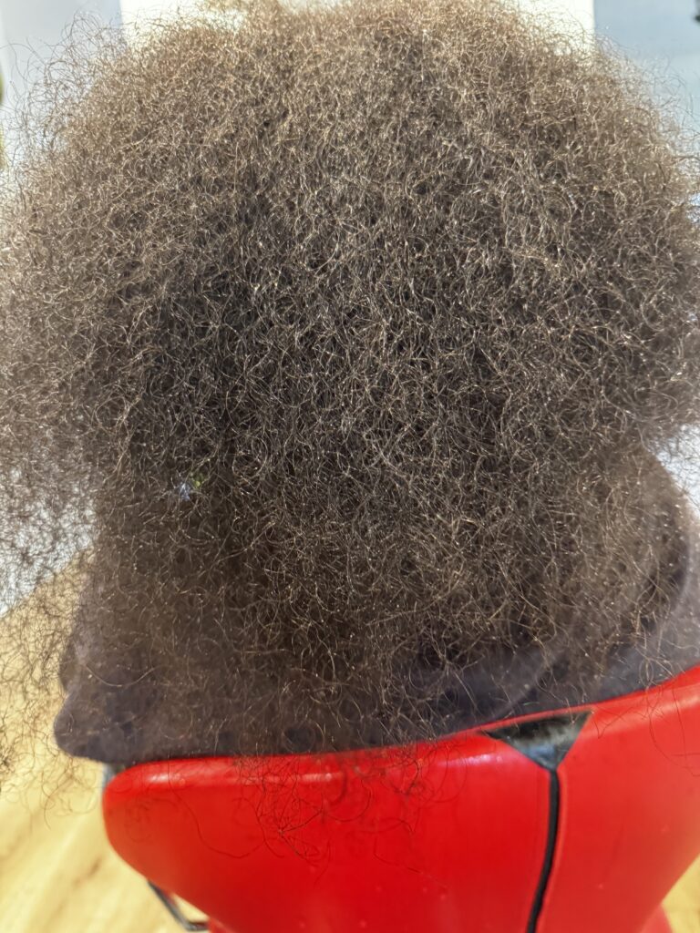 picture of hair before treatment